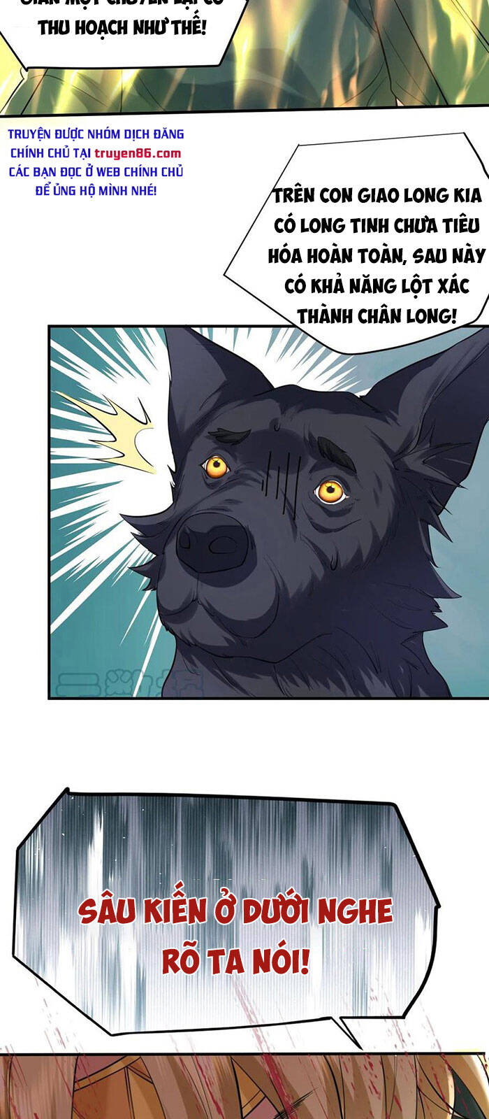 Ta Vô Địch Lúc Nào Chap 47 - Next Chap 48