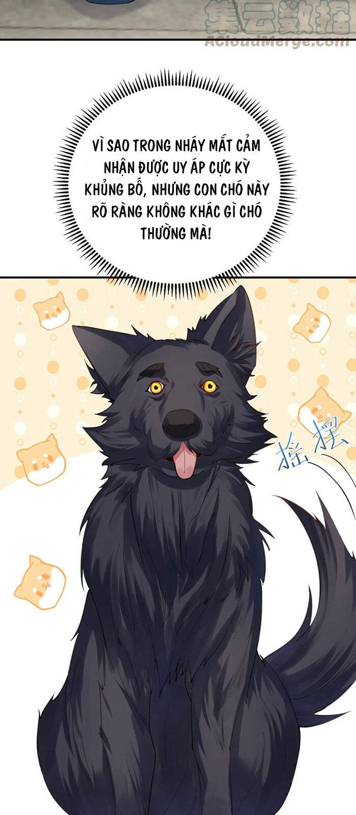 Ta Vô Địch Lúc Nào Chap 52 - Next Chap 53