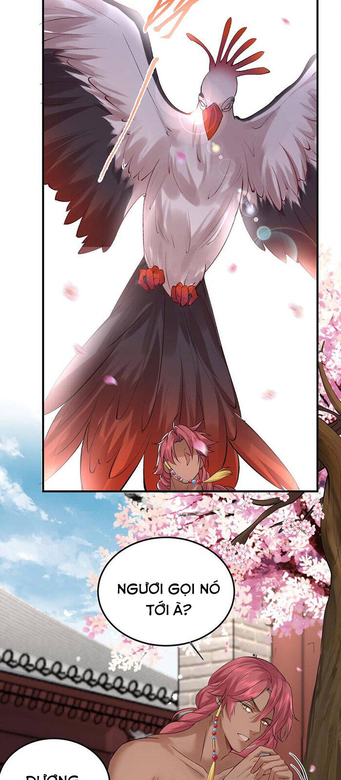 Ta Vô Địch Lúc Nào Chap 75 - Next Chap 76