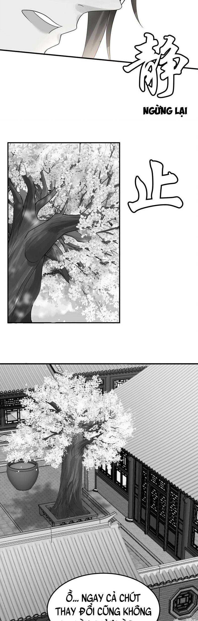 Ta Vô Địch Lúc Nào Chap 77 - Next Chap 78