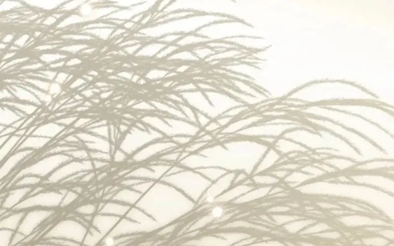 Tái Sinh Thành Con Gái Của Kẻ Phản Diện Chap 134 - Next Chap 135