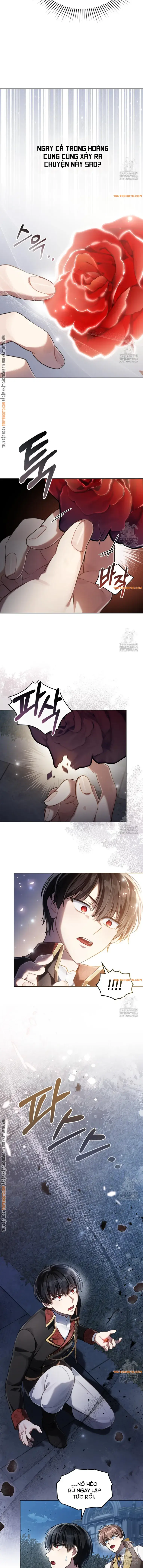 Tái Sinh Thành Hoàng Tử Của Quốc Gia Kẻ Địch Chap 60 - Next Chap 61