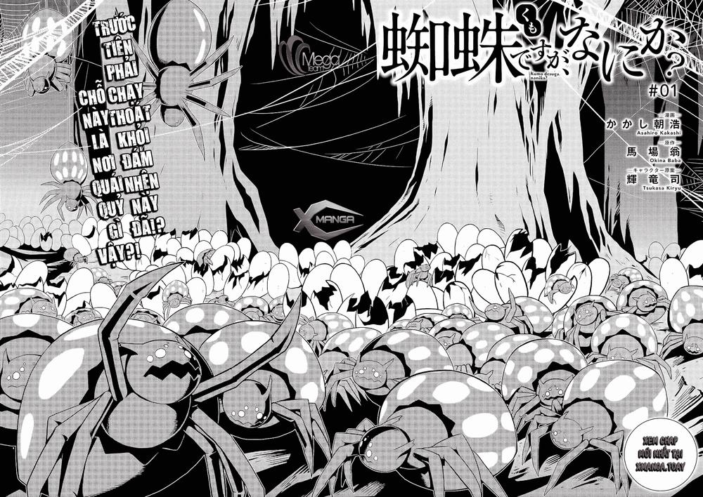 Tái Sinh Thành Nhện Chap 1 - Next Chap 2