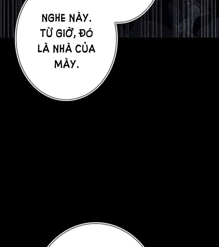 Tái sinh thành streamer Chap 5 - Next Chap 6