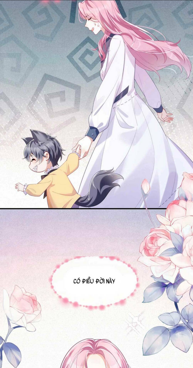 TÁI SINH TRỞ LẠI : CHỒNG CŨ KHÓC LÓC CẦU XIN TÁI HÔN Chap 1 - Next Chap 2