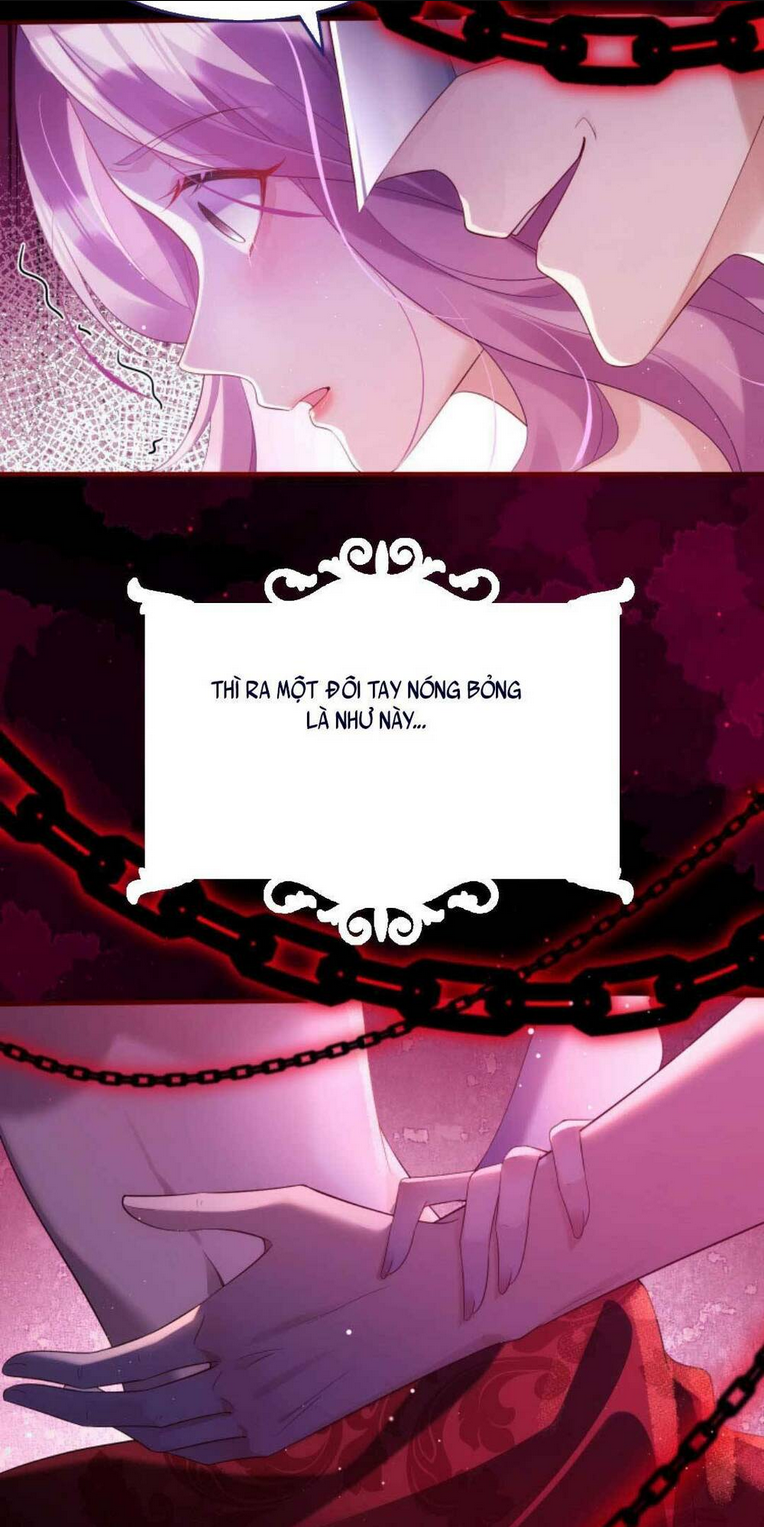 TÁI SINH TRỞ LẠI : CHỒNG CŨ KHÓC LÓC CẦU XIN TÁI HÔN Chap 1 - Next Chap 2