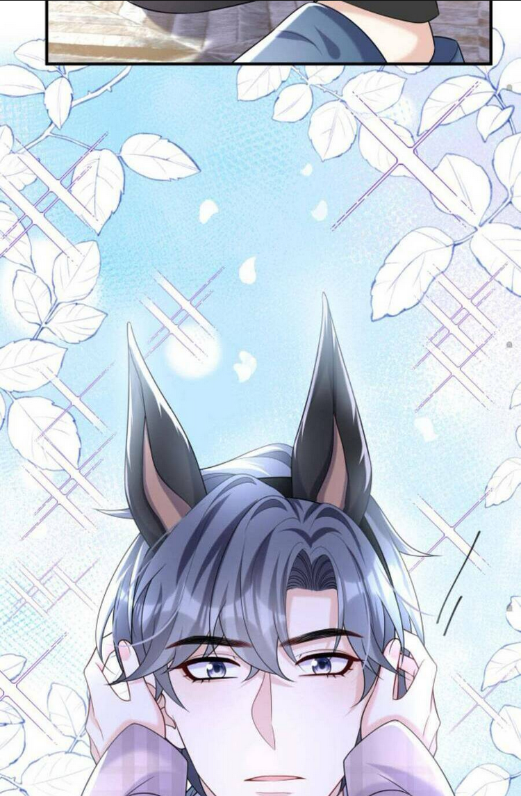 TÁI SINH TRỞ LẠI : CHỒNG CŨ KHÓC LÓC CẦU XIN TÁI HÔN Chap 117 - Next Chap 118