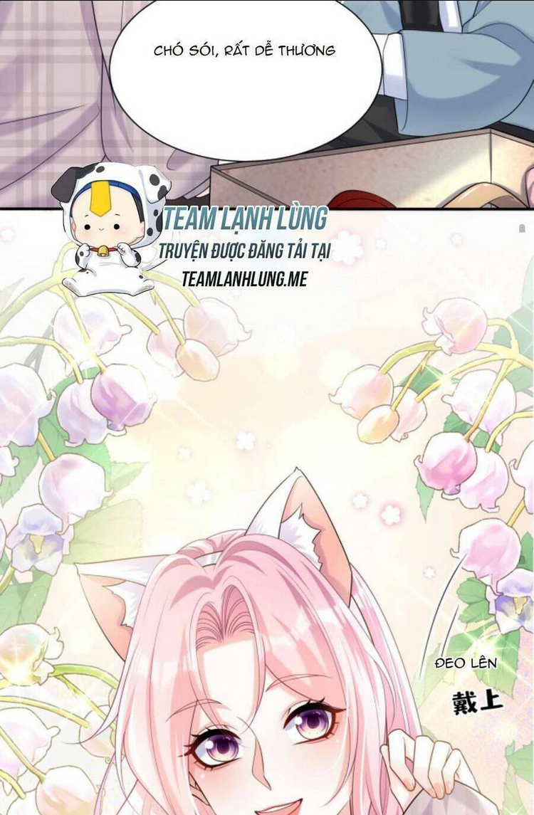 TÁI SINH TRỞ LẠI : CHỒNG CŨ KHÓC LÓC CẦU XIN TÁI HÔN Chap 117 - Next Chap 118