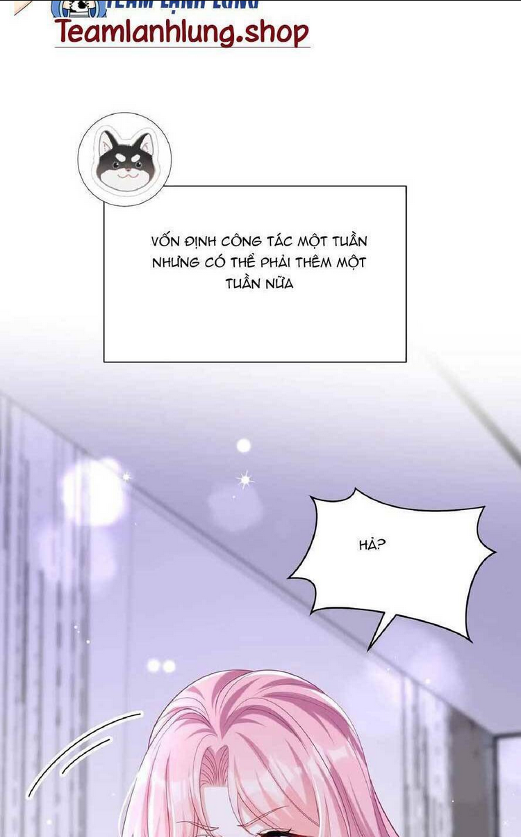 TÁI SINH TRỞ LẠI : CHỒNG CŨ KHÓC LÓC CẦU XIN TÁI HÔN Chap 134 - Next Chap 135