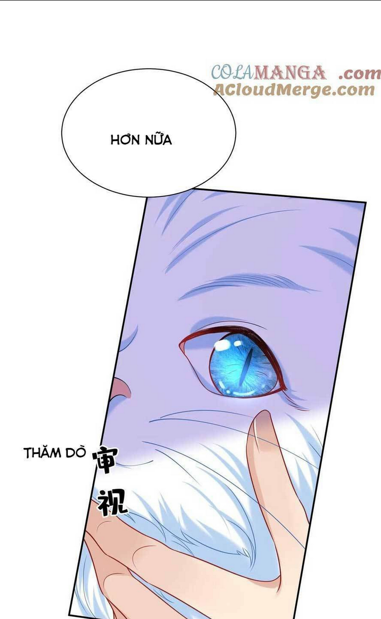 TÁI SINH TRỞ LẠI : CHỒNG CŨ KHÓC LÓC CẦU XIN TÁI HÔN Chap 155 - Next Chap 156