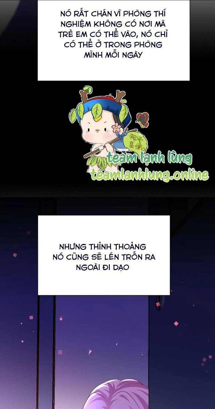 TÁI SINH TRỞ LẠI : CHỒNG CŨ KHÓC LÓC CẦU XIN TÁI HÔN Chap 157 - Next Chap 158