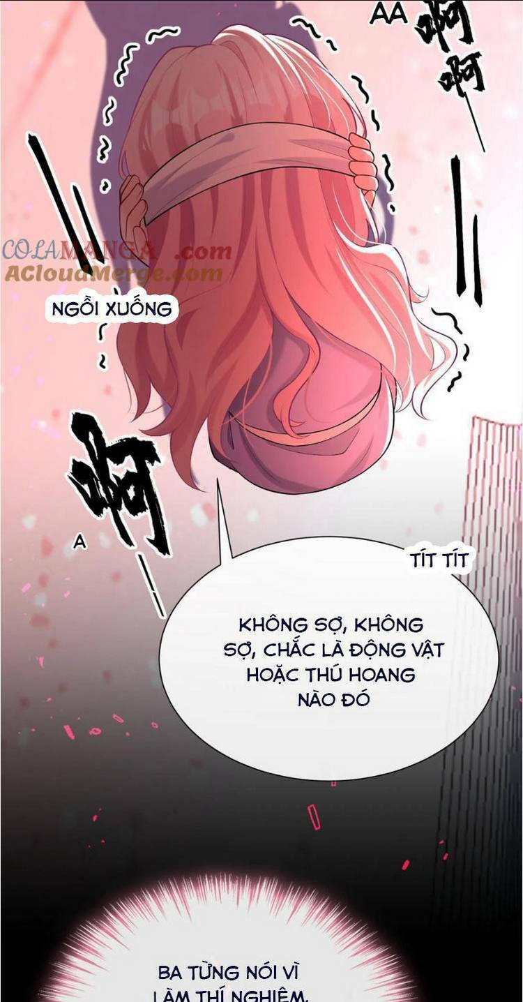 TÁI SINH TRỞ LẠI : CHỒNG CŨ KHÓC LÓC CẦU XIN TÁI HÔN Chap 157 - Next Chap 158