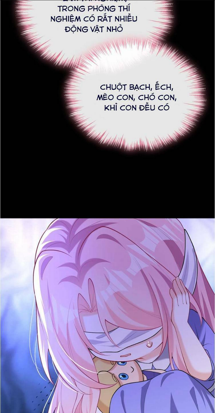 TÁI SINH TRỞ LẠI : CHỒNG CŨ KHÓC LÓC CẦU XIN TÁI HÔN Chap 157 - Next Chap 158