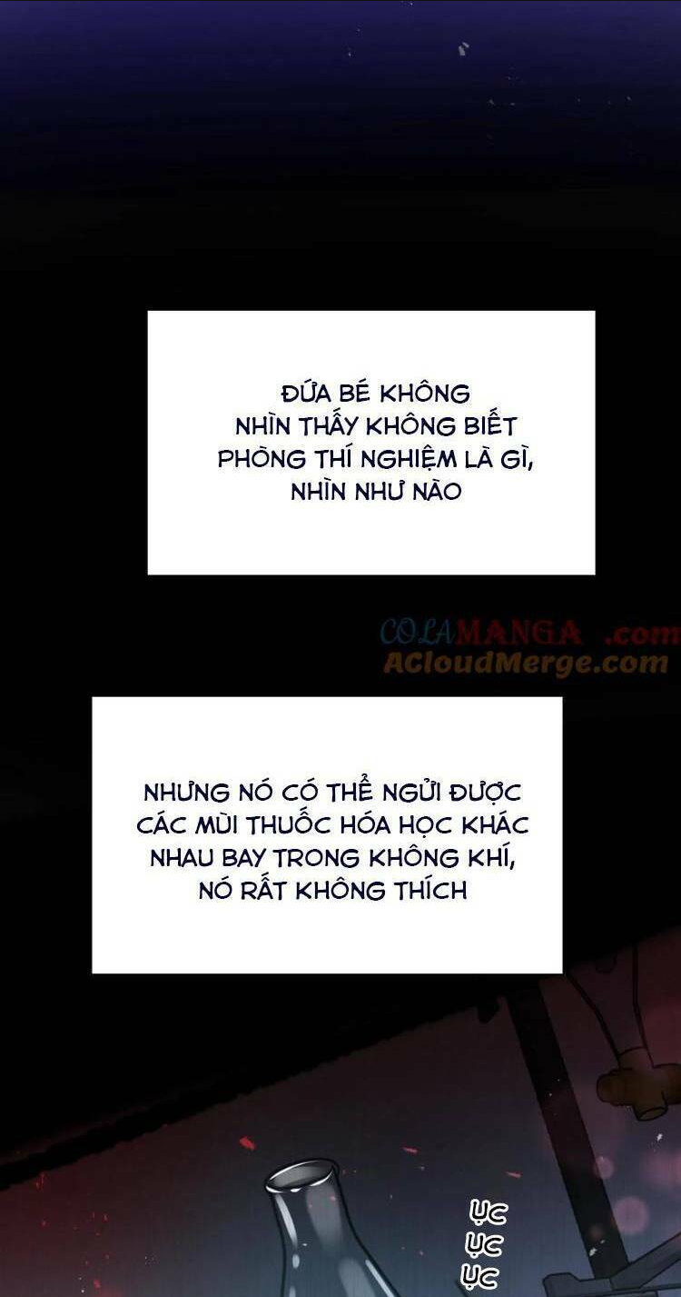 TÁI SINH TRỞ LẠI : CHỒNG CŨ KHÓC LÓC CẦU XIN TÁI HÔN Chap 157 - Next Chap 158