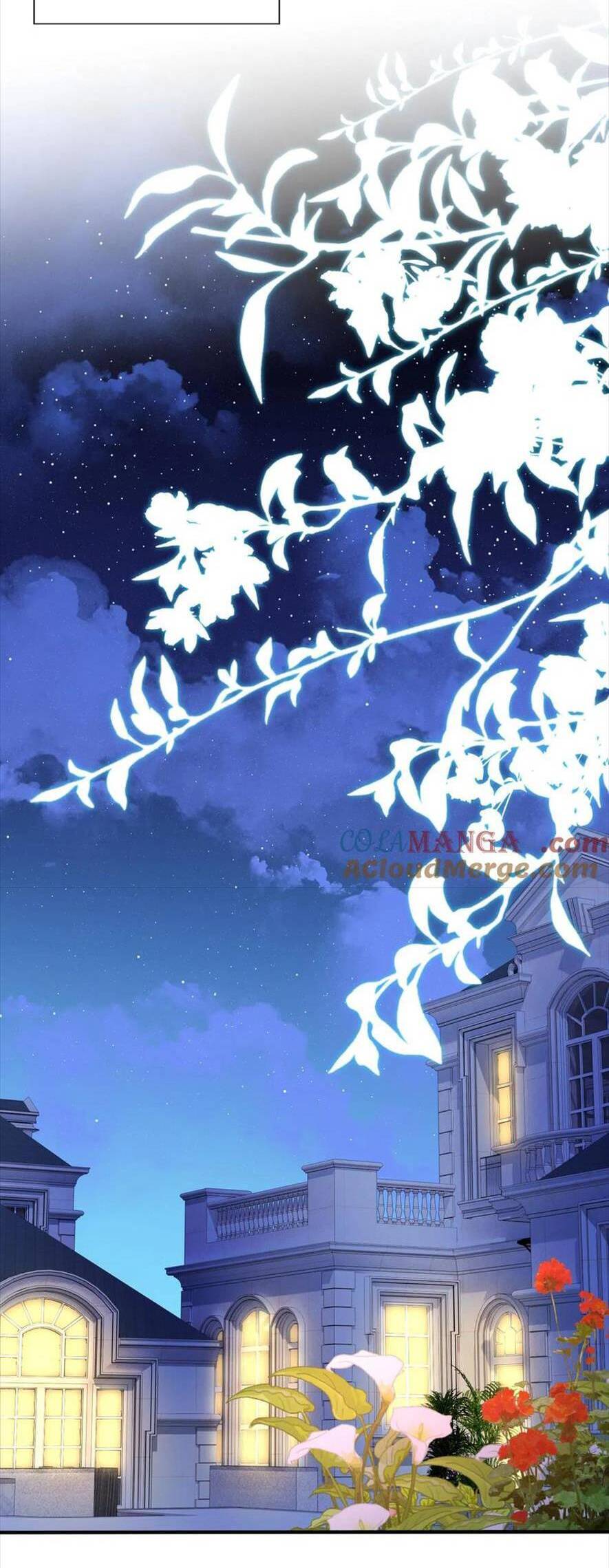 TÁI SINH TRỞ LẠI : CHỒNG CŨ KHÓC LÓC CẦU XIN TÁI HÔN Chap 182 - Next Chap 183