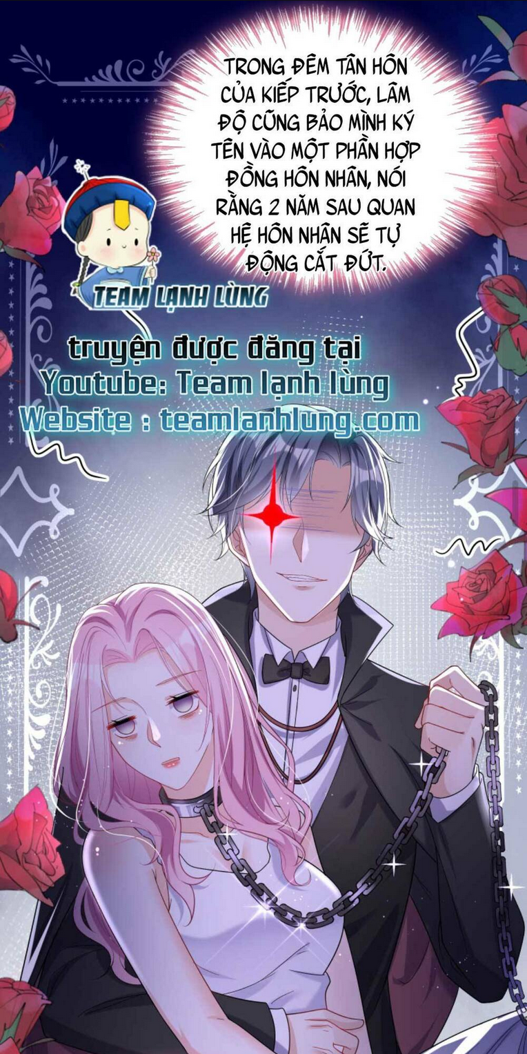 TÁI SINH TRỞ LẠI : CHỒNG CŨ KHÓC LÓC CẦU XIN TÁI HÔN Chap 19 - Next Chap 20