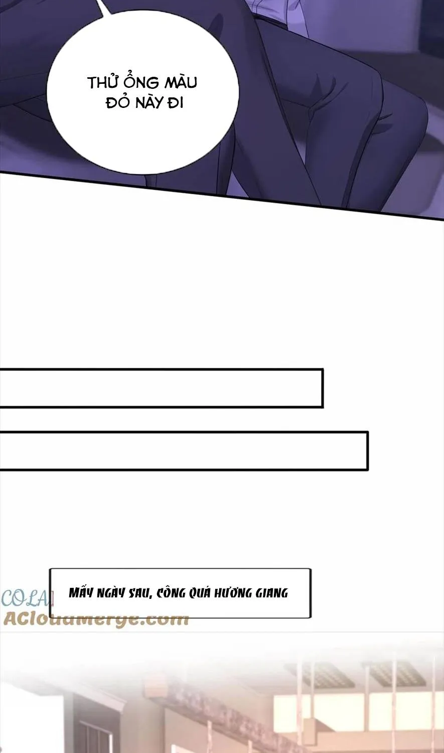 TÁI SINH TRỞ LẠI : CHỒNG CŨ KHÓC LÓC CẦU XIN TÁI HÔN Chap 195 - Next Chap 196