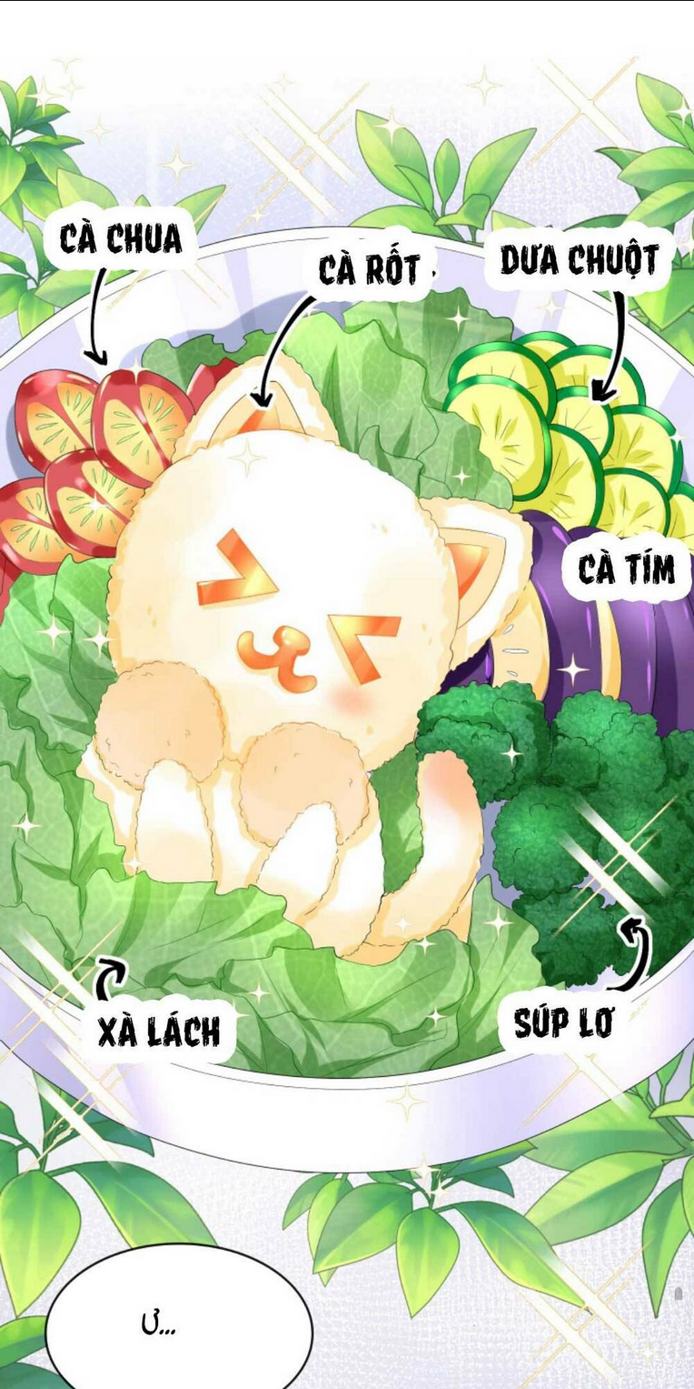 TÁI SINH TRỞ LẠI : CHỒNG CŨ KHÓC LÓC CẦU XIN TÁI HÔN Chap 26 - Next Chap 27