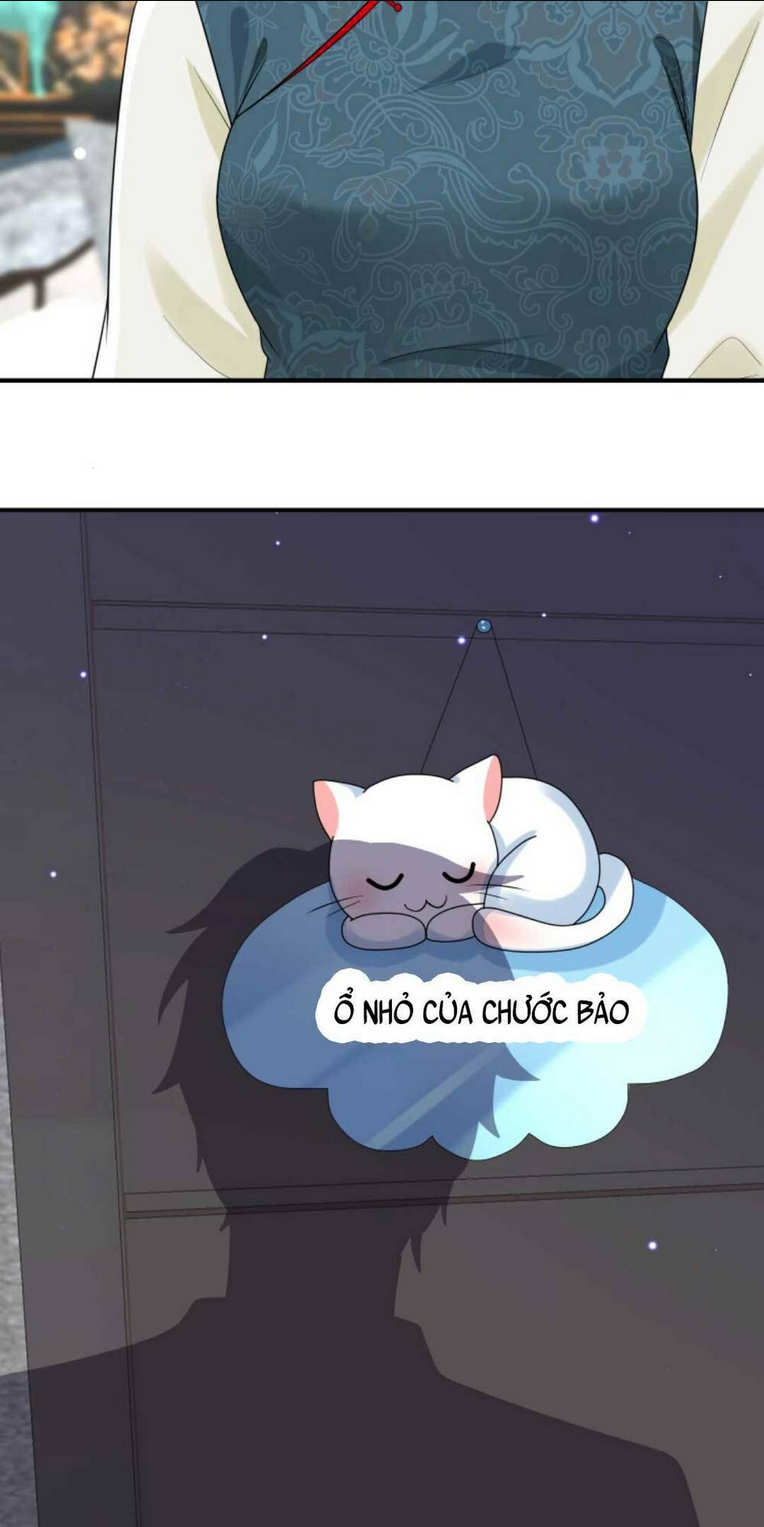 TÁI SINH TRỞ LẠI : CHỒNG CŨ KHÓC LÓC CẦU XIN TÁI HÔN Chap 28 - Next Chap 29