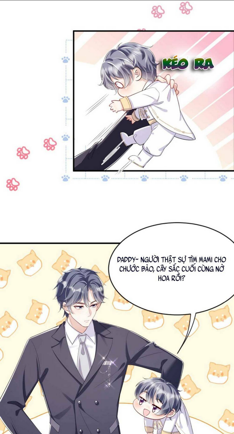 TÁI SINH TRỞ LẠI : CHỒNG CŨ KHÓC LÓC CẦU XIN TÁI HÔN Chap 4 - Next Chap 5