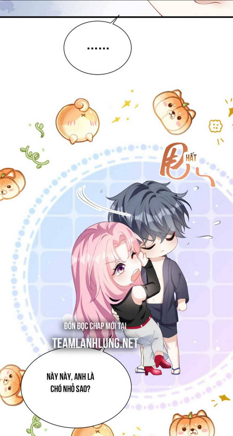 TÁI SINH TRỞ LẠI : CHỒNG CŨ KHÓC LÓC CẦU XIN TÁI HÔN Chap 58 - Next Chap 59