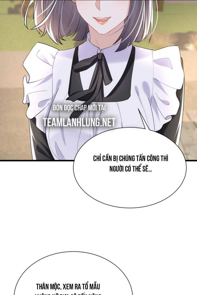 TÁI SINH TRỞ LẠI : CHỒNG CŨ KHÓC LÓC CẦU XIN TÁI HÔN Chap 58 - Next Chap 59