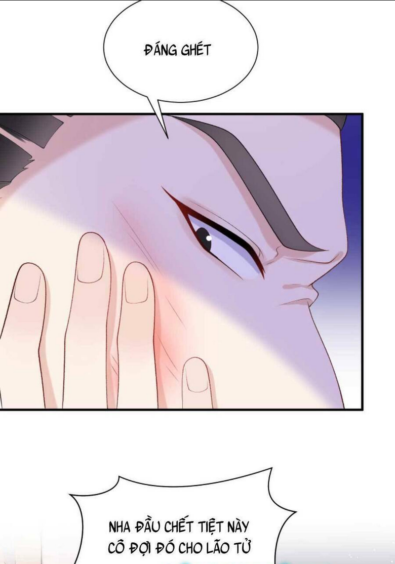 TÁI SINH TRỞ LẠI : CHỒNG CŨ KHÓC LÓC CẦU XIN TÁI HÔN Chap 67 - Next Chap 68