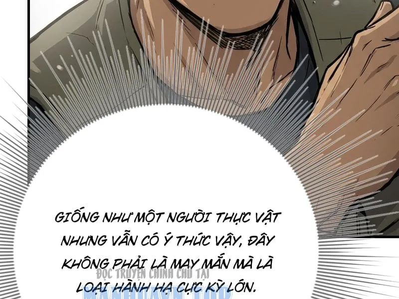 Tam Quốc! Khởi Đầu Từ Giao Châu Chap 1 - Next Chap 2