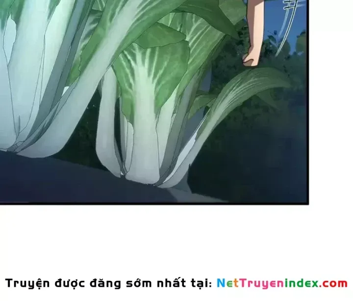 155