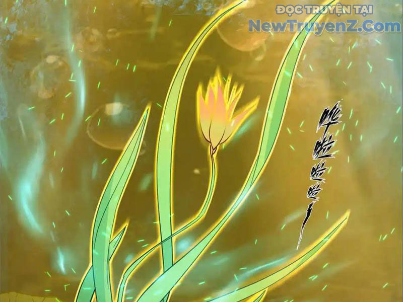 Tân Sủng Mị Chap 74 - Next Chap 75