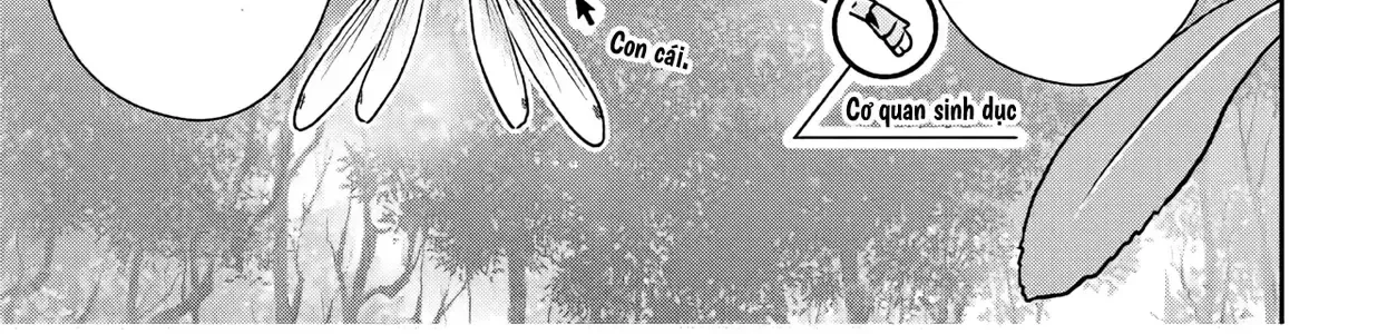 Tanabe-Kun Bên Clb Sinh Vật. Chap 2 - Next Chap 3