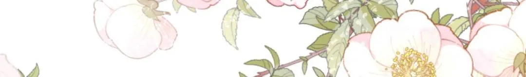 TẤT CẢ PHẢN DIỆN ĐỀU HẮC HOÁ , CHỈ MỖI SƯ LÀ HÀI HƯỚC Chap 149 - Next Chap 150