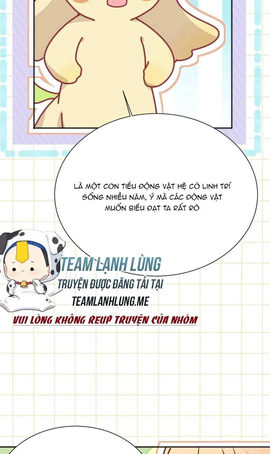 TẤT CẢ PHẢN DIỆN ĐỀU HẮC HOÁ , CHỈ MỖI SƯ LÀ HÀI HƯỚC Chap 173 - Next Chap 174