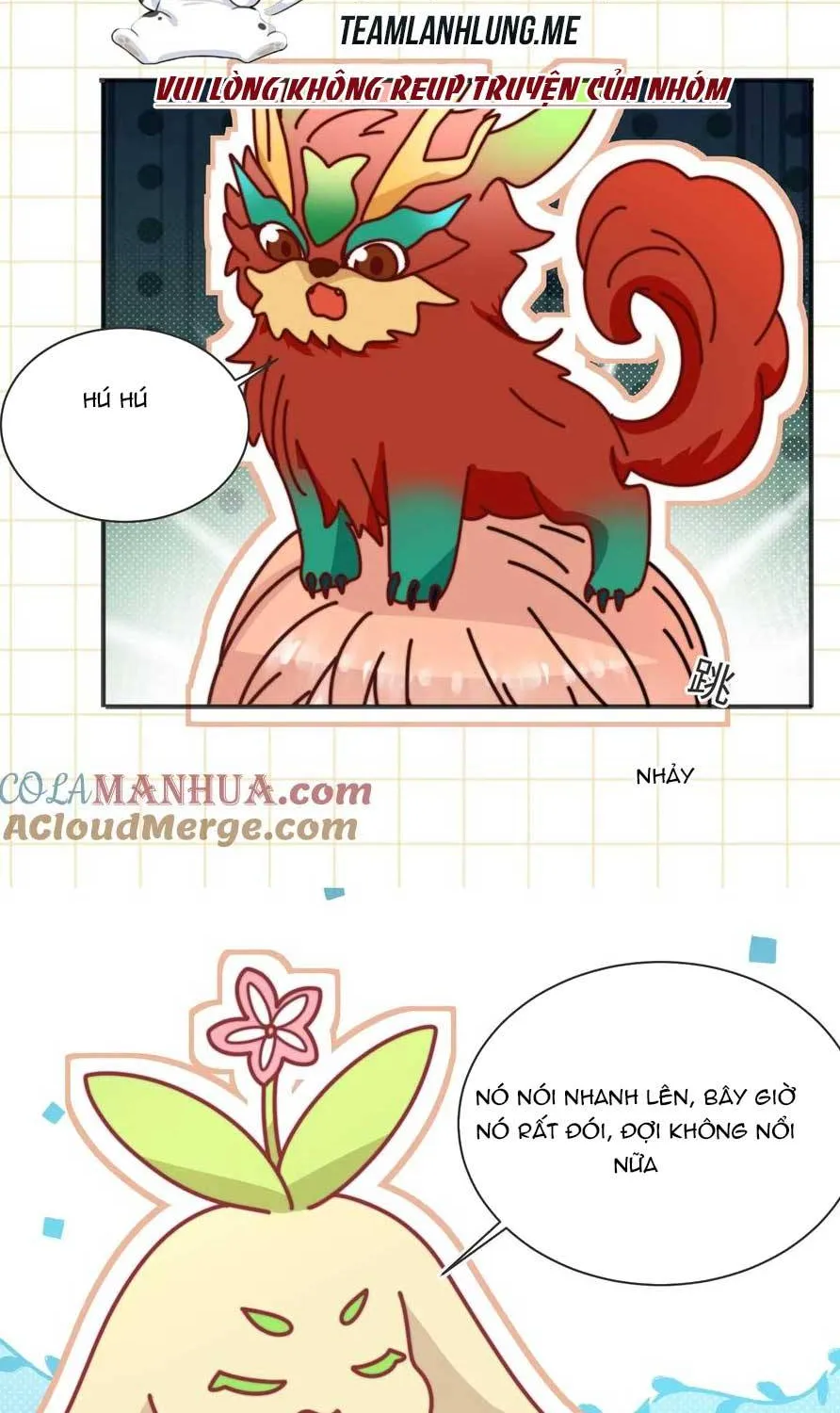 TẤT CẢ PHẢN DIỆN ĐỀU HẮC HOÁ , CHỈ MỖI SƯ LÀ HÀI HƯỚC Chap 173 - Next Chap 174