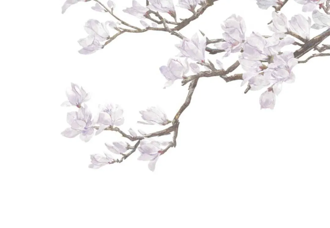 TẤT CẢ PHẢN DIỆN ĐỀU HẮC HOÁ , CHỈ MỖI SƯ LÀ HÀI HƯỚC Chap 54 - Next Chap 55