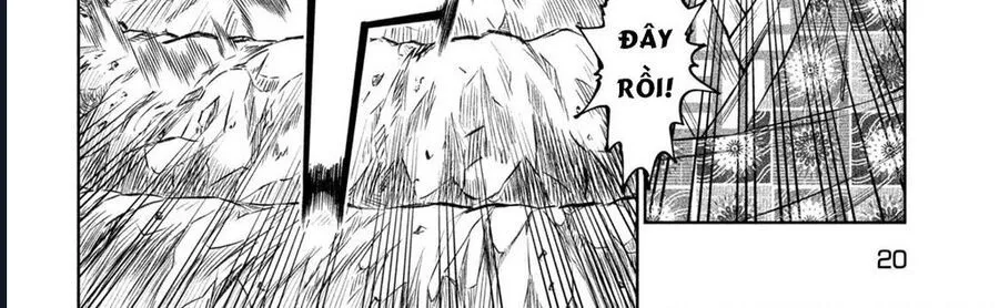 Tenkaichi - Thiên Hạ Đệ Nhất Võ Sĩ Đại Hội Chap 53 - Next Chap 54