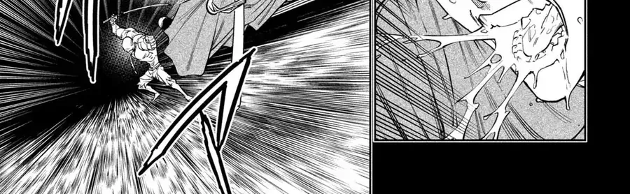 Tenkaichi - Thiên Hạ Đệ Nhất Võ Sĩ Đại Hội Chap 54 - Next Chap 55