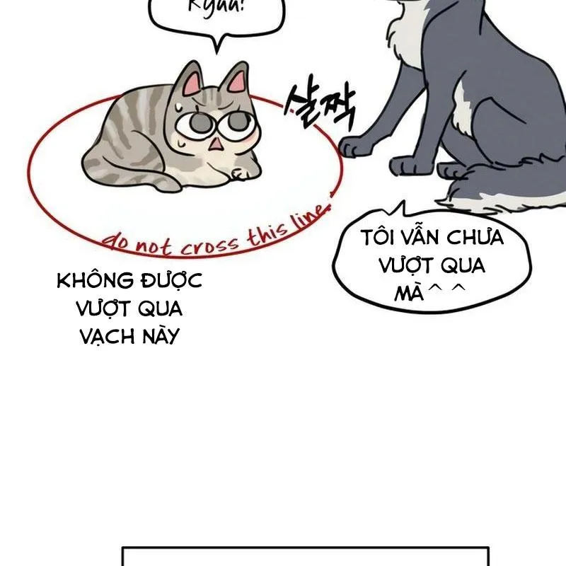 Thà để bị lừa dối Chap 5 - Next Chap 6