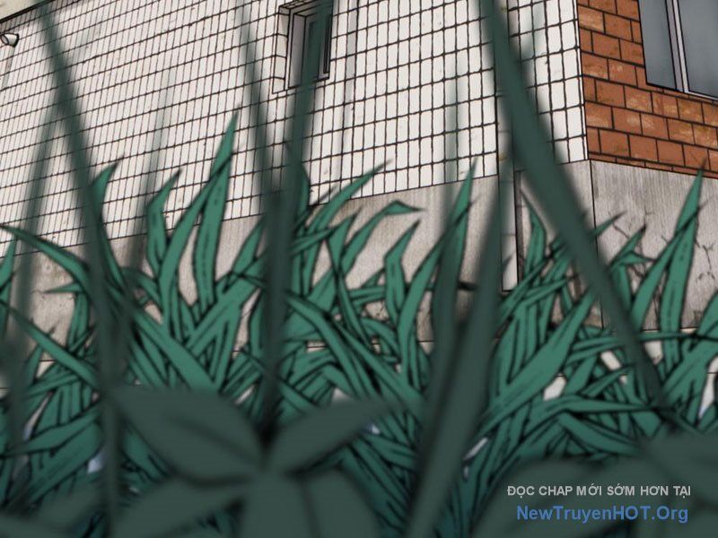 Thái Cổ Thập Hung: Người Khác Ngự Thú Ta Ngự Thú Nương Chap 1 - Next Chap 2