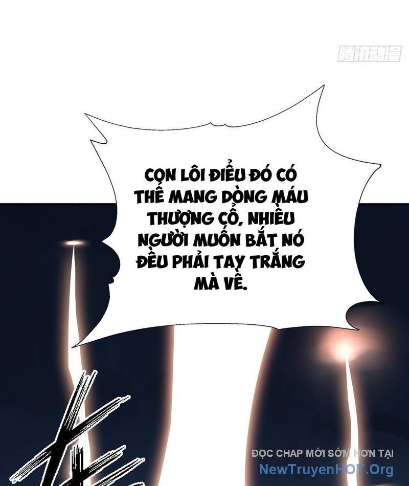 Thái Cổ Thập Hung: Người Khác Ngự Thú Ta Ngự Thú Nương Chap 14 - Next Chap 15