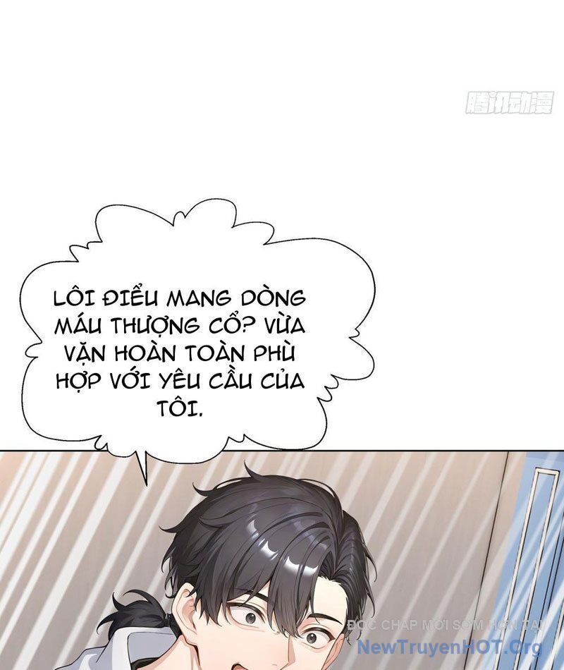 Thái Cổ Thập Hung: Người Khác Ngự Thú Ta Ngự Thú Nương Chap 14 - Next Chap 15