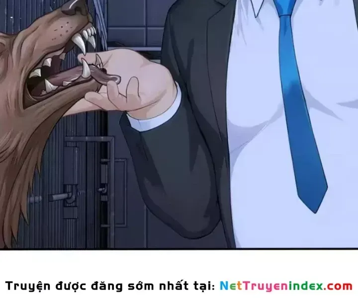 Thái Cổ Thập Hung: Người Khác Ngự Thú Ta Ngự Thú Nương Chap 146 - Next Chap 147