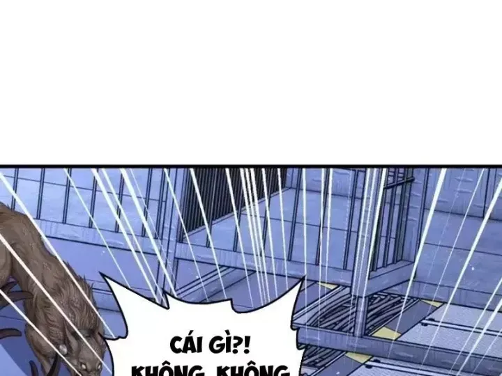 Thái Cổ Thập Hung: Người Khác Ngự Thú Ta Ngự Thú Nương Chap 148 - Next Chap 149