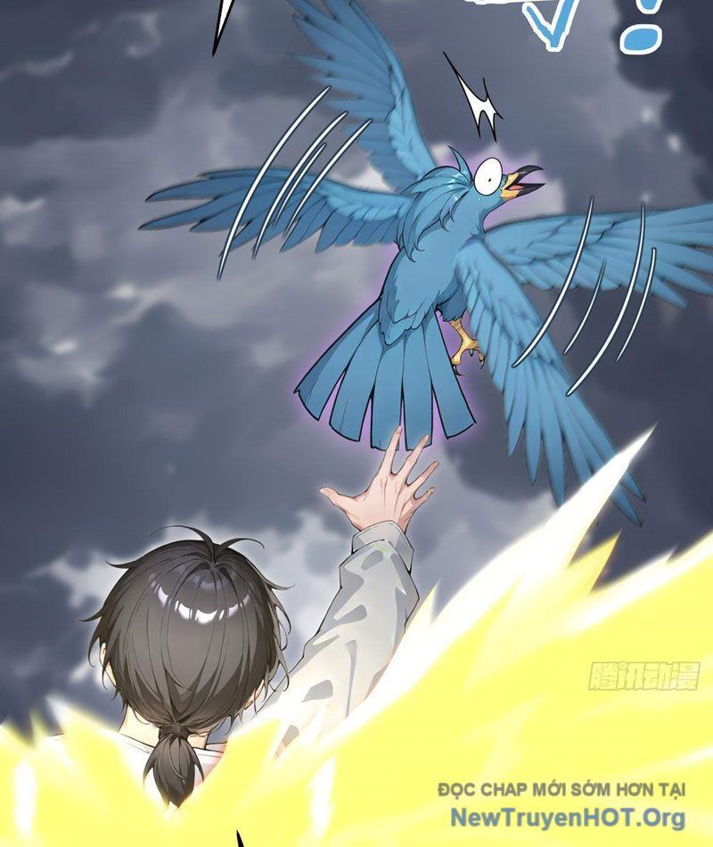 Thái Cổ Thập Hung: Người Khác Ngự Thú Ta Ngự Thú Nương Chap 17 - Next Chap 18