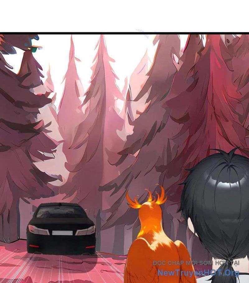 Thái Cổ Thập Hung: Người Khác Ngự Thú Ta Ngự Thú Nương Chap 37 - Next Chap 38