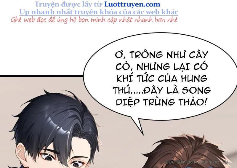 Thái Cổ Thập Hung: Người Khác Ngự Thú Ta Ngự Thú Nương Chap 70 - Next Chap 71
