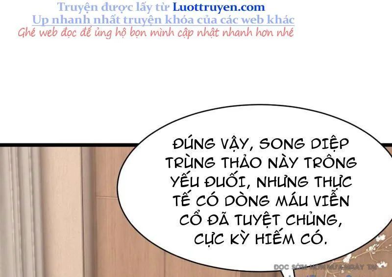 Thái Cổ Thập Hung: Người Khác Ngự Thú Ta Ngự Thú Nương Chap 70 - Next Chap 71