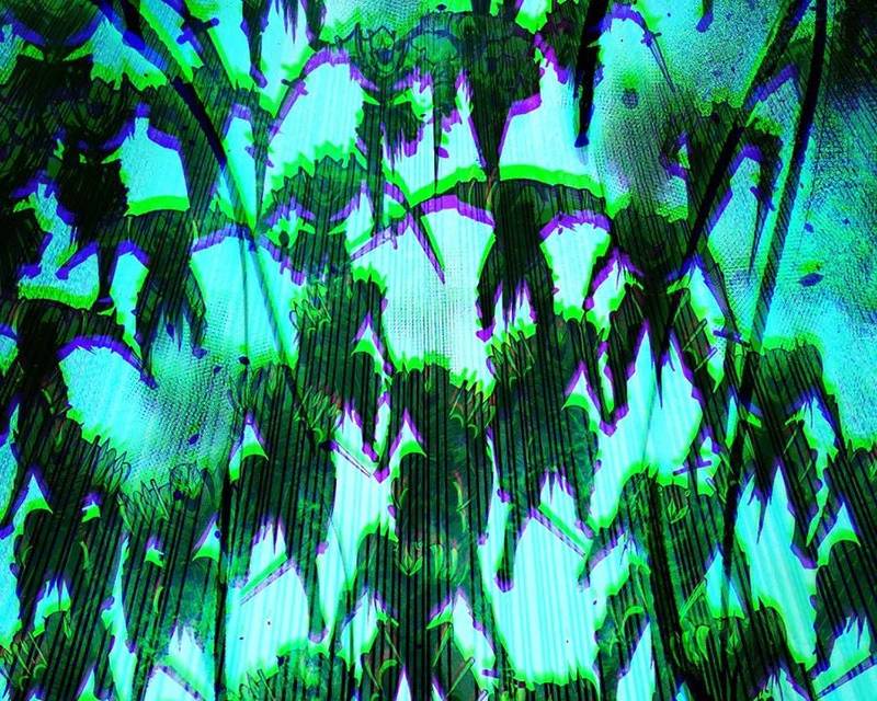 Thảm Họa Tử Linh Sư Chap 135 - Next Chap 136