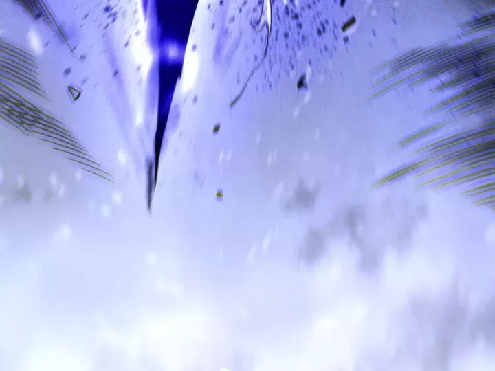 Thảm Họa Tử Linh Sư Chap 246 - Next Chap 247