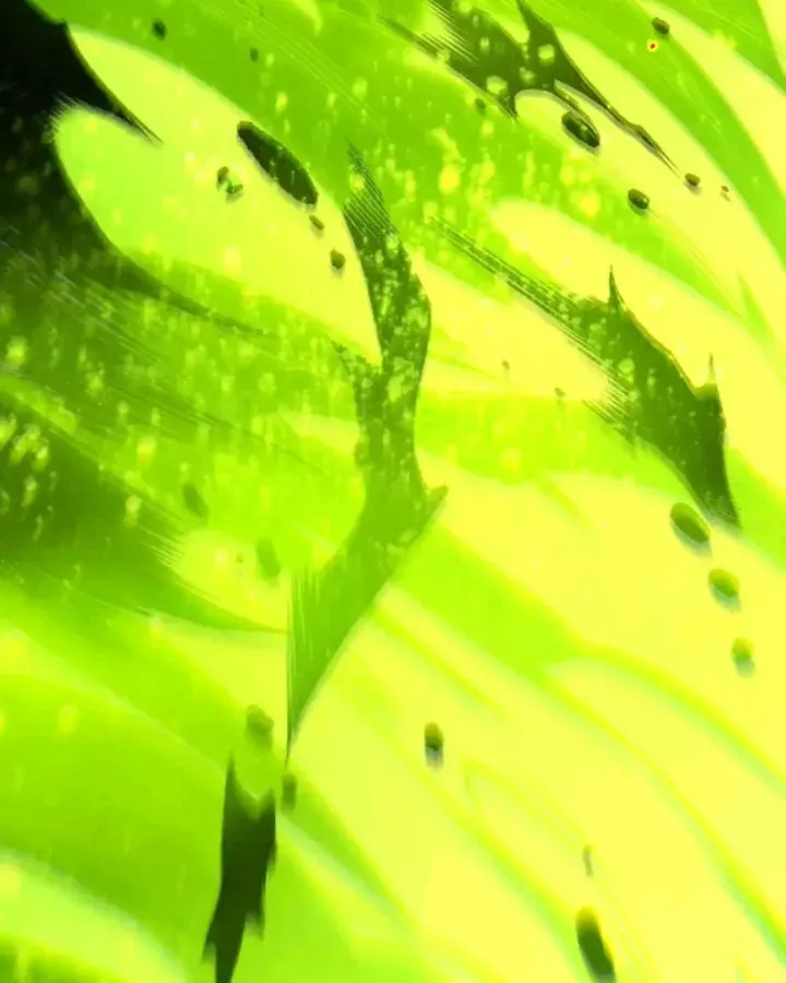 Thảm Họa Tử Linh Sư Chap 247 - Next Chap 248